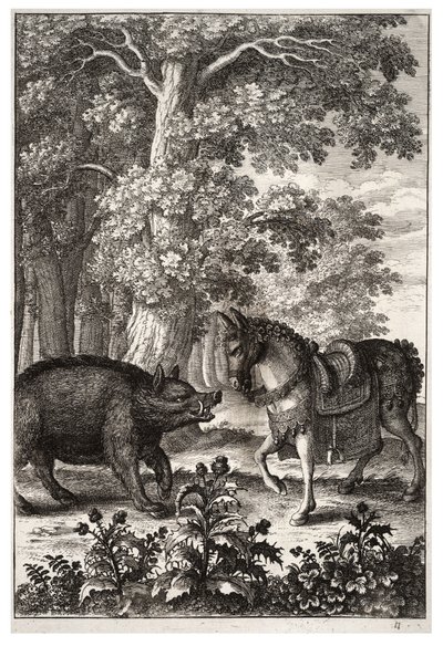 Cinghiale e asino da Wenceslaus Hollar